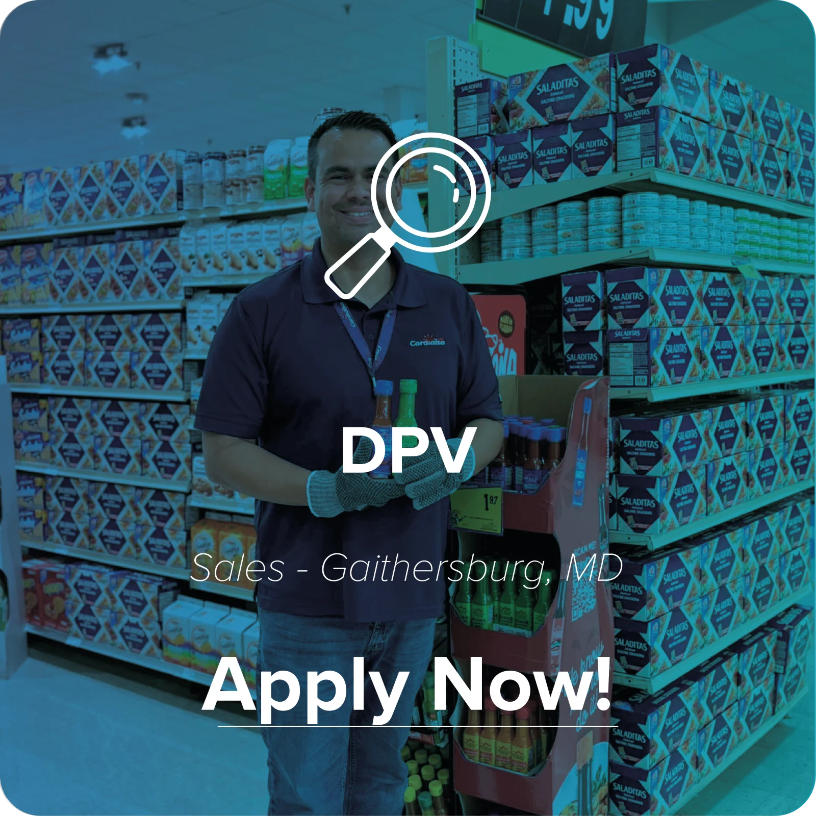 Opening Job Cordialsa USA 7